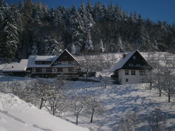 Ferienhof Fischer Seebach Extérieur photo