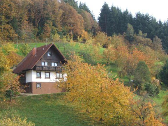 Ferienhof Fischer Seebach Extérieur photo